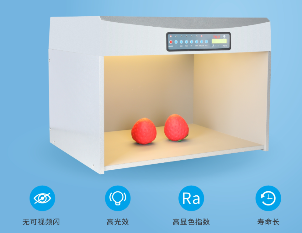 展会21